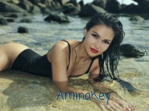 AminaKey