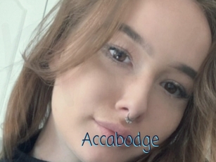 Accabodge