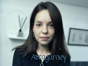 Accagarney