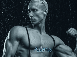 Adonis_