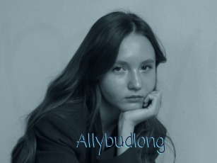 Allybudlong