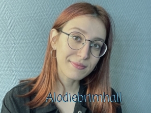 Alodiebrimhall