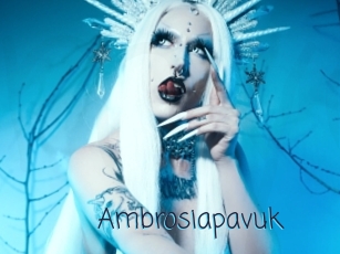 Ambrosiapavuk