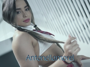 Antonellamorel