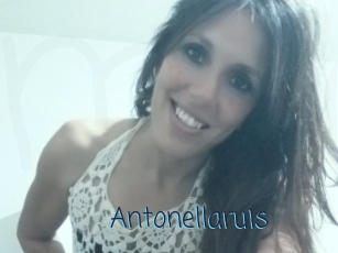 Antonellaruis