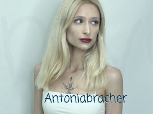 Antoniabracher