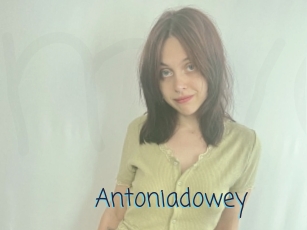 Antoniadowey