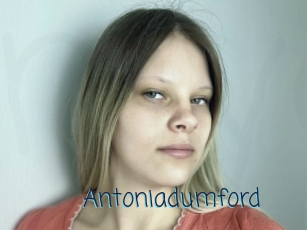 Antoniadumford