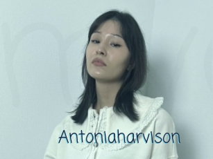 Antoniaharvison