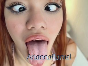 Ariannaflamel