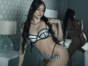 Aricam