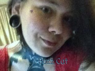 Buzz_Cat