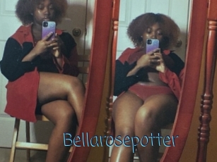 Bellarosepotter