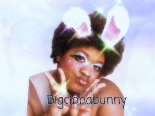 Bigcinnabunny