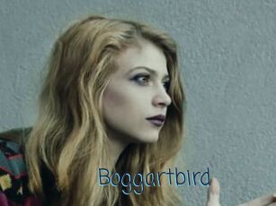 Boggartbird