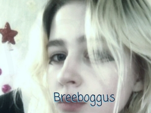 Breeboggus