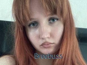 Breebuss