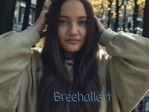 Breehallett