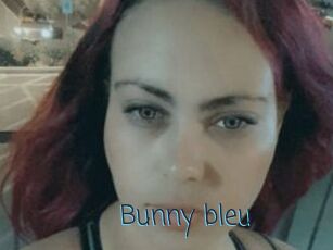 Bunny_bleu