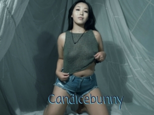 Candicebunny