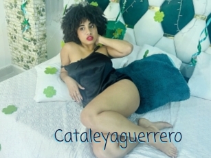 Cataleyaguerrero