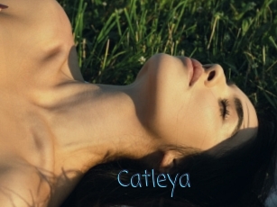 Catleya