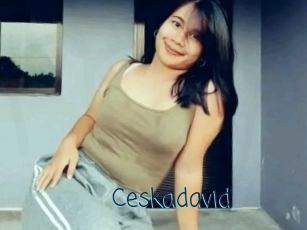 Ceskadavid