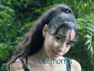 Cloeemorris