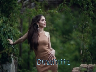 Dinafrittz