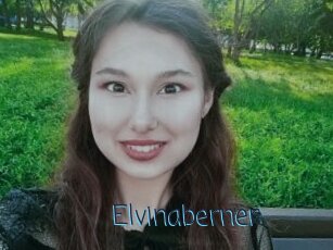 Elvinaberner