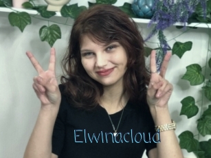 Elwinacloud