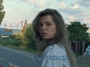 Elwinebuss