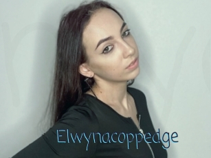 Elwynacoppedge