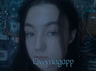 Elwynagapp