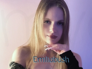 Emiliabush