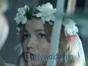 Emilywaldstein