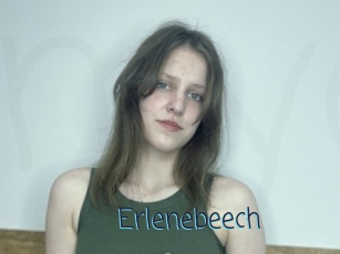 Erlenebeech