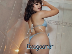 Evagadner