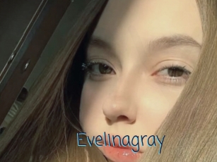 Evelinagray