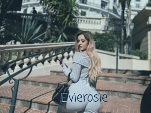 Evierosie