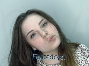 Felicedryer