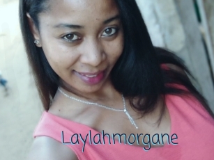 Laylahmorgane