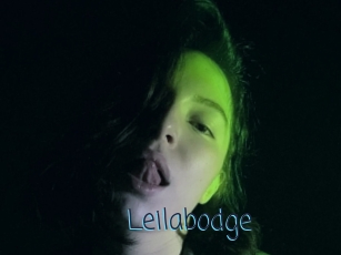 Leilabodge