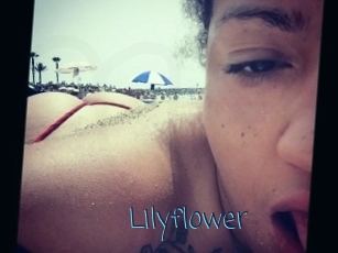 Lilyflower