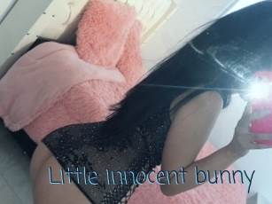 Little_innocent_bunny