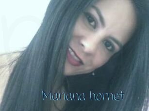 Mariana_hornet