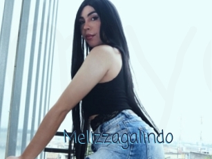 Melizzagalindo