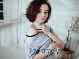 Miniamely