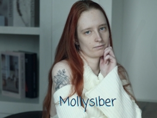 Mollysiber