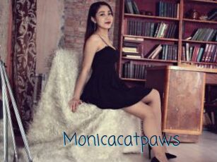 Monicacatpaws